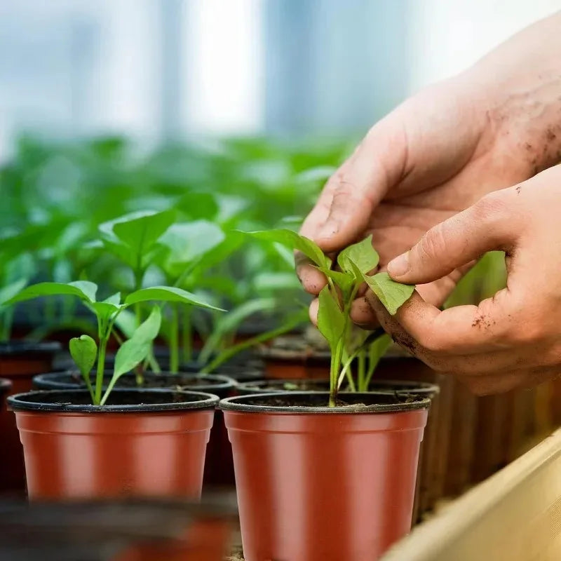 100/20x Flexible Plant Nursery Pots Red and Black Seed Starting Pots Succulents Seedlings Cuttings Transplant Plastic Container