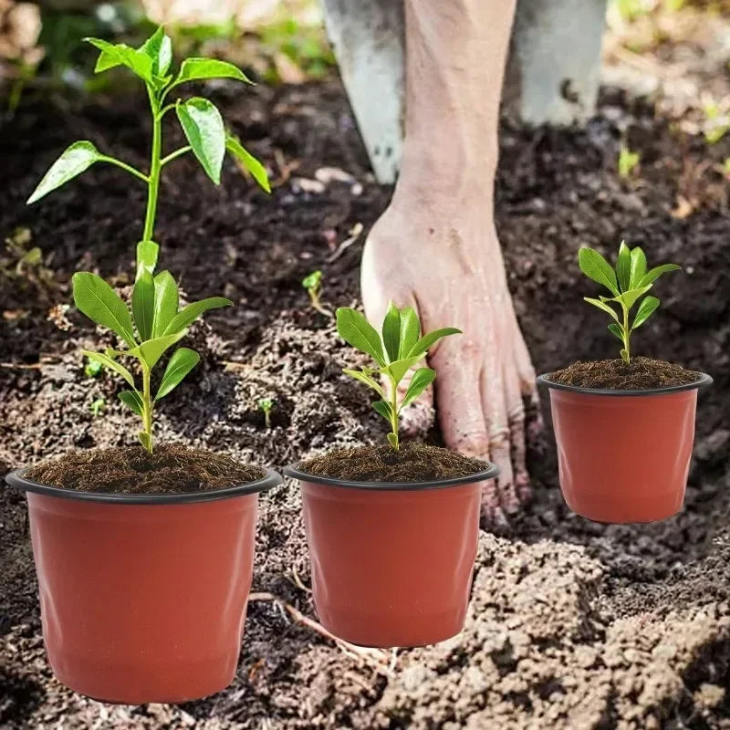 100/20x Flexible Plant Nursery Pots Red and Black Seed Starting Pots Succulents Seedlings Cuttings Transplant Plastic Container