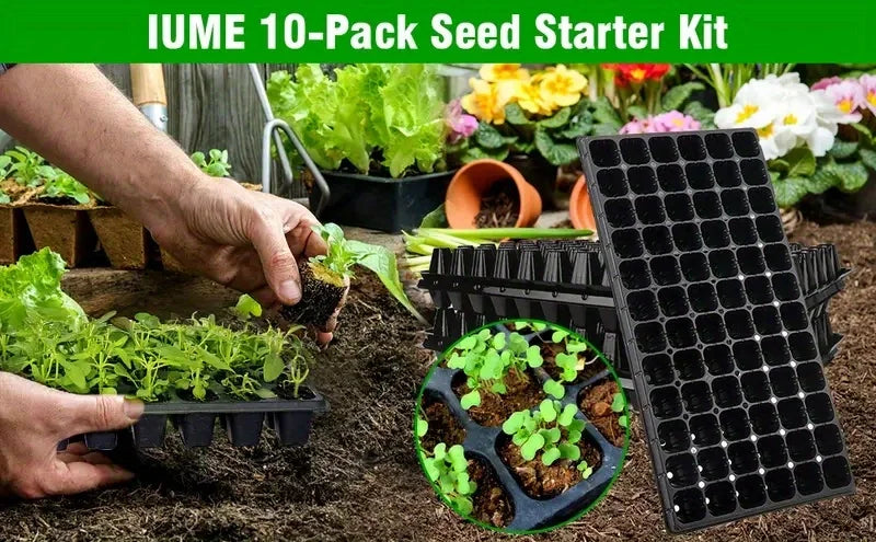 10, nursery tray, greenhouse germination and growth tray, courtyard, lawn, gardening, planting nursery, agricultural plant germi
